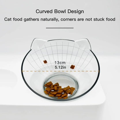 Tilted Cat Bowl Set for Food and Water, Food Feeding Raised Dishes for Puppies